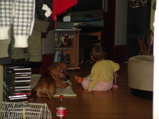 DSC06194.JPG
