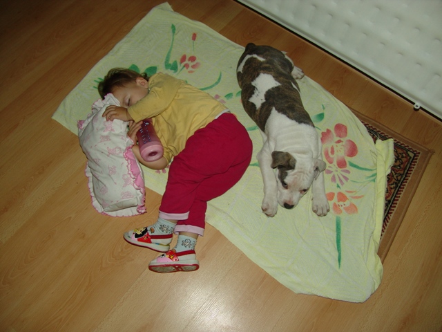 DSC06213.JPG