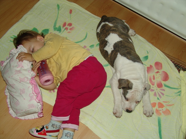 DSC06214.JPG