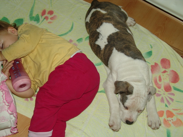DSC06215.JPG