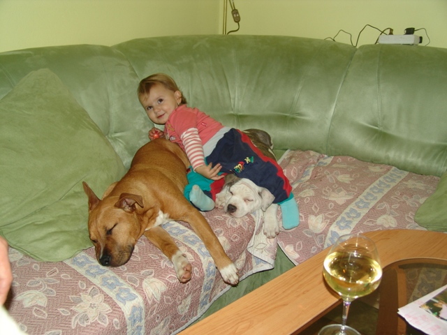DSC06575.JPG