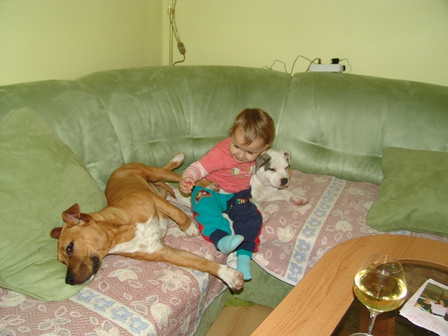DSC06578.JPG
