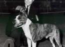 Ch._Knight_Crusader_1960.jpg