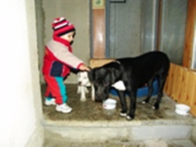 argo,saja a vanesska.JPG