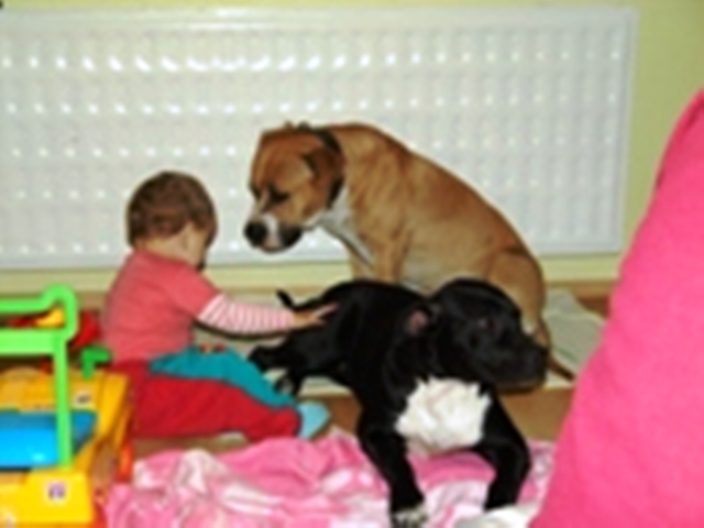 Vanesska,saja a ares.JPG