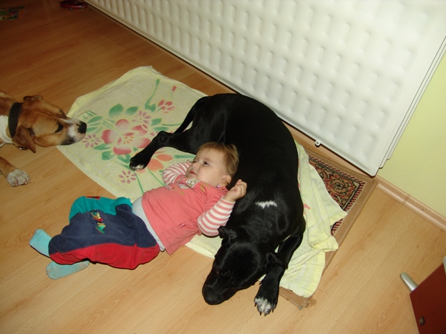 DSC06622.JPG