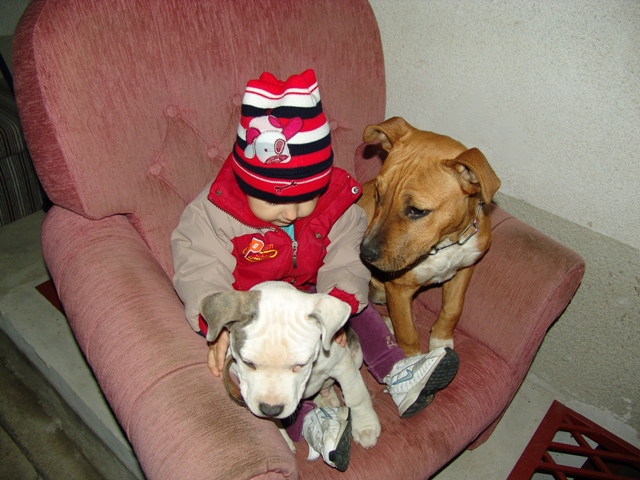 DSC06136.JPG