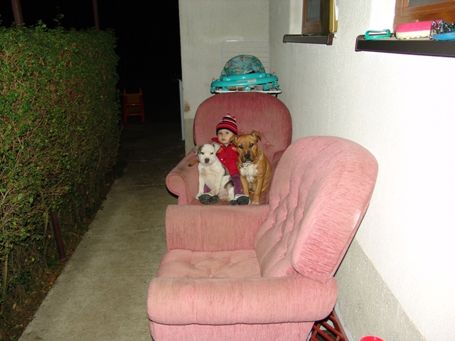DSC06138.JPG