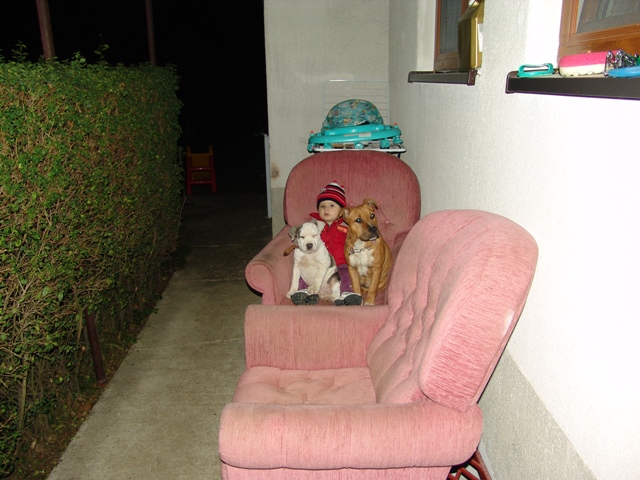 DSC06139.JPG