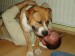 DSC06607.JPG