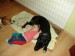 DSC06622.JPG