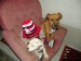 DSC06134.JPG