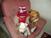 DSC06136.JPG