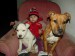 DSC06137.JPG