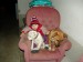 DSC06141.JPG
