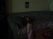 DSC06177.JPG